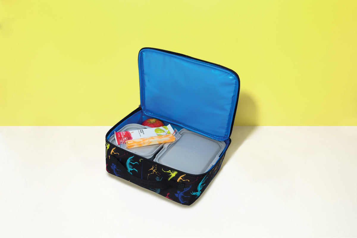 freezable-lunch-box-limited-edition-b4 2022_Lifestyle_Lunch-Box_Dino_Fossils2_Hires.jpg