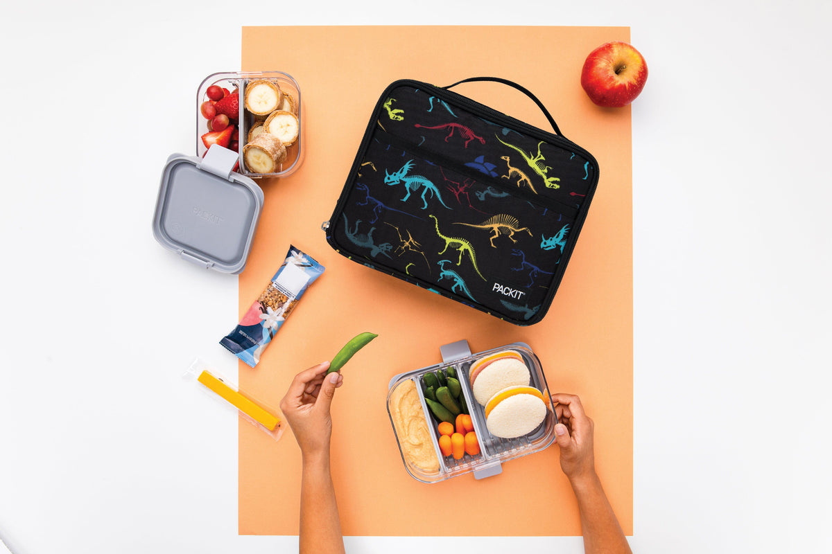 freezable-lunch-box-limited-edition-b4 2022_Lifestyle_Lunch-Box_Dino_Fossils_Hires.jpg